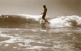 Jeff Warner