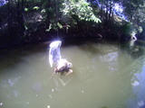 Take care of our water