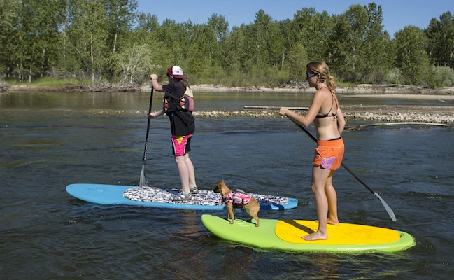 Glide-Sup-Rental-Boards