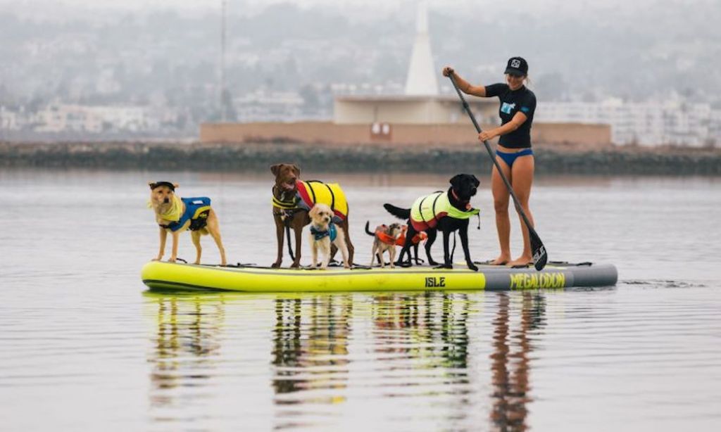 jim dreeben elderly sup training tips