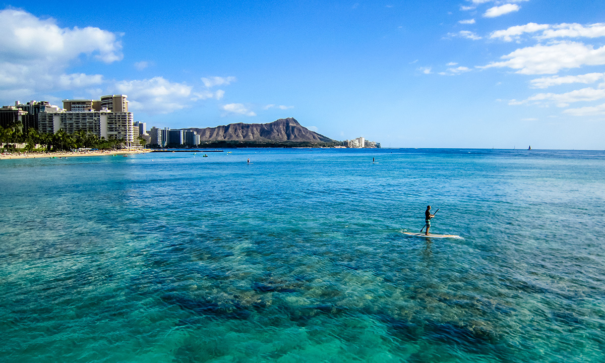 paddle boarding oahu