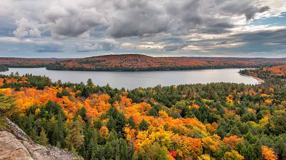 algonquin park sup destination autumn