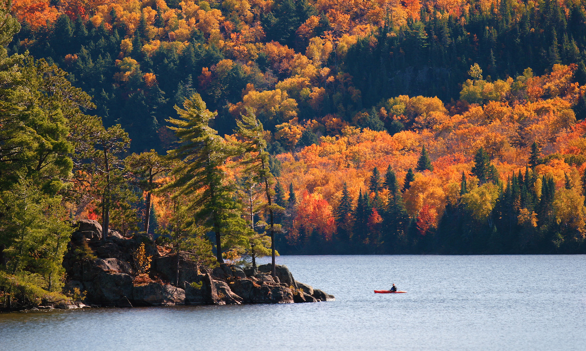 algonquin park sup destination autumn01