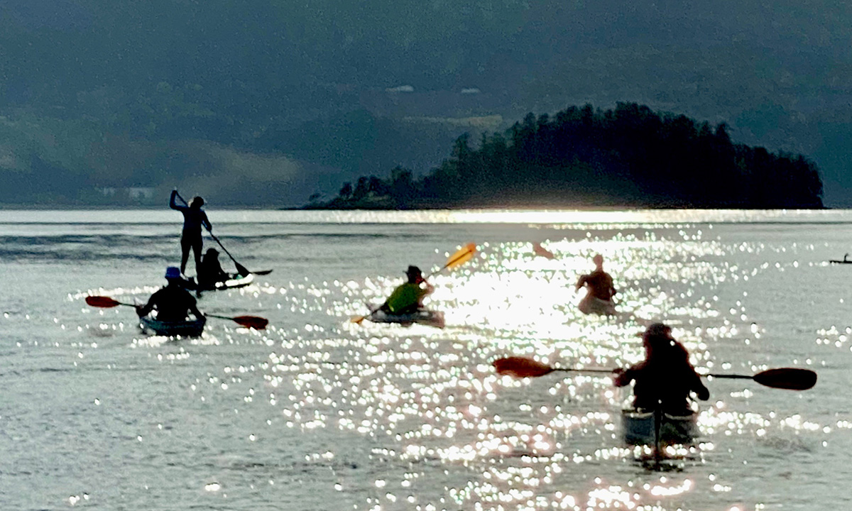 paddle boarding saanich peninsula canada victoria