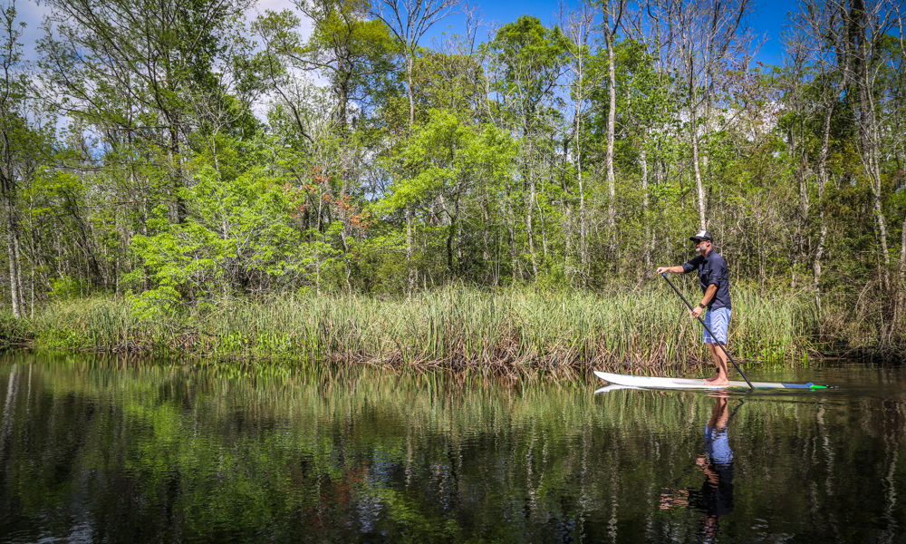 amelia island lofton creek