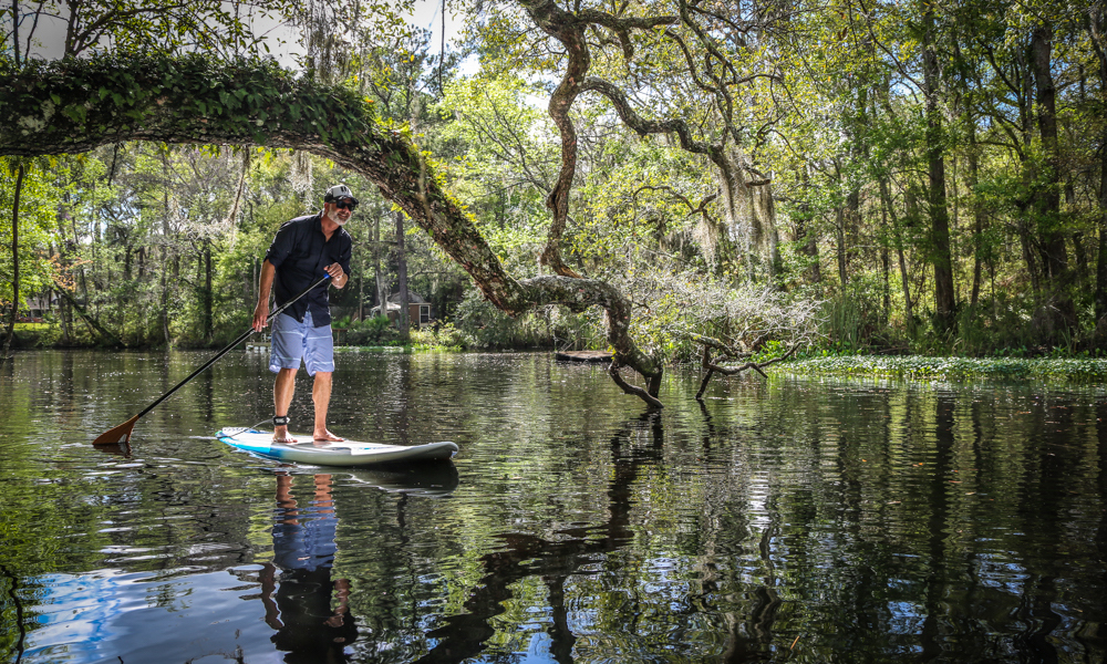 amelia island lofton tributary