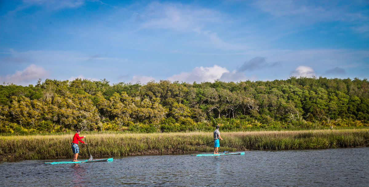 amelia island simpson landscape 1