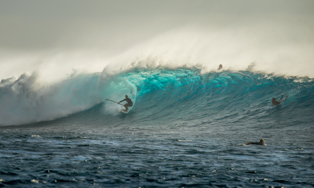 fiji isa 2016 sean evans