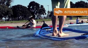 badfish-MCIT-boardworks-surf-stand-up-paddle-board-inflatable-show-up-and-blow-up-4