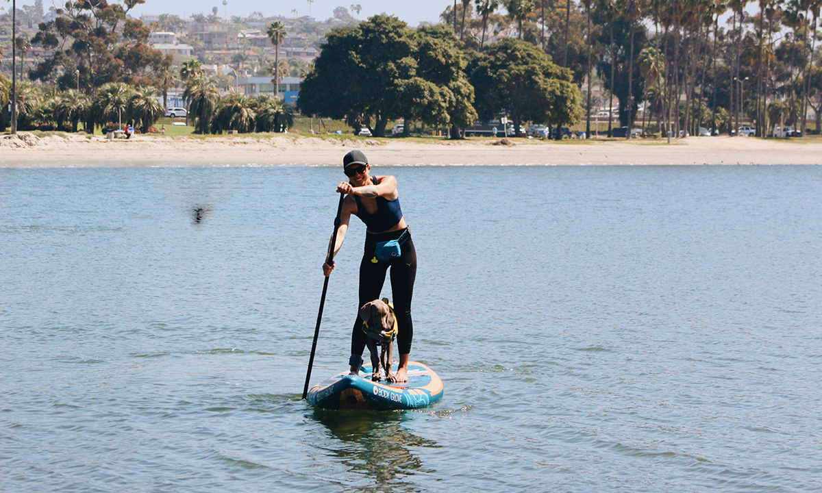 best beginner standup paddle board 2022 thurso waterwalker