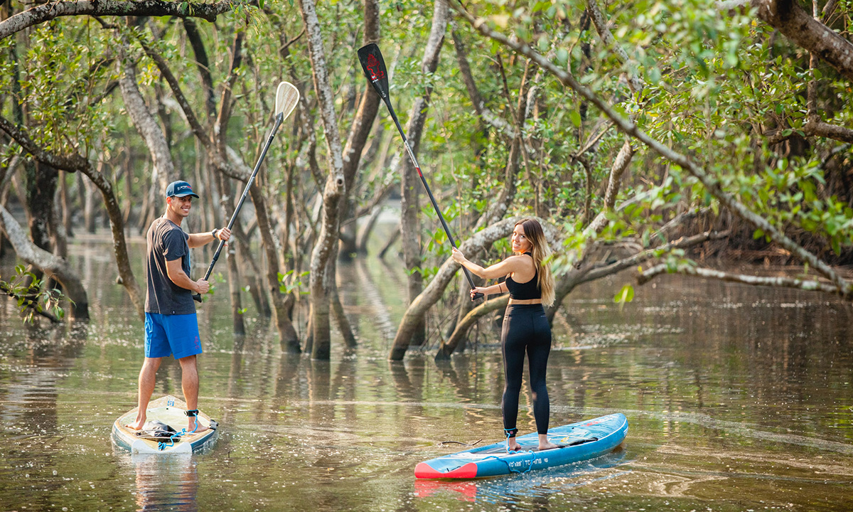 icf starboard carbon 1