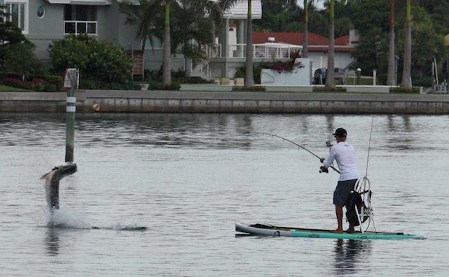 nick-halloran-sup-fishing