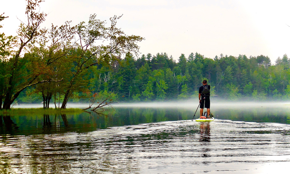 top sup trends 2020