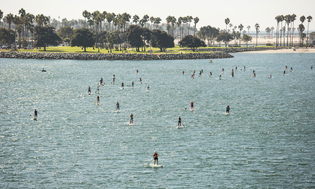 panda paddle 2019 2