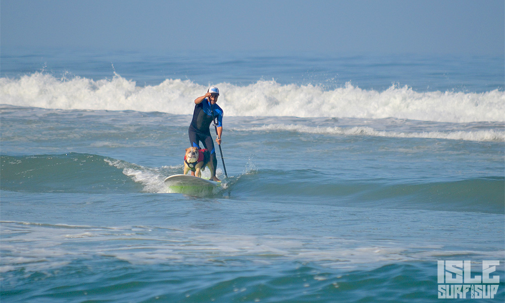 how to paddle with dog 5