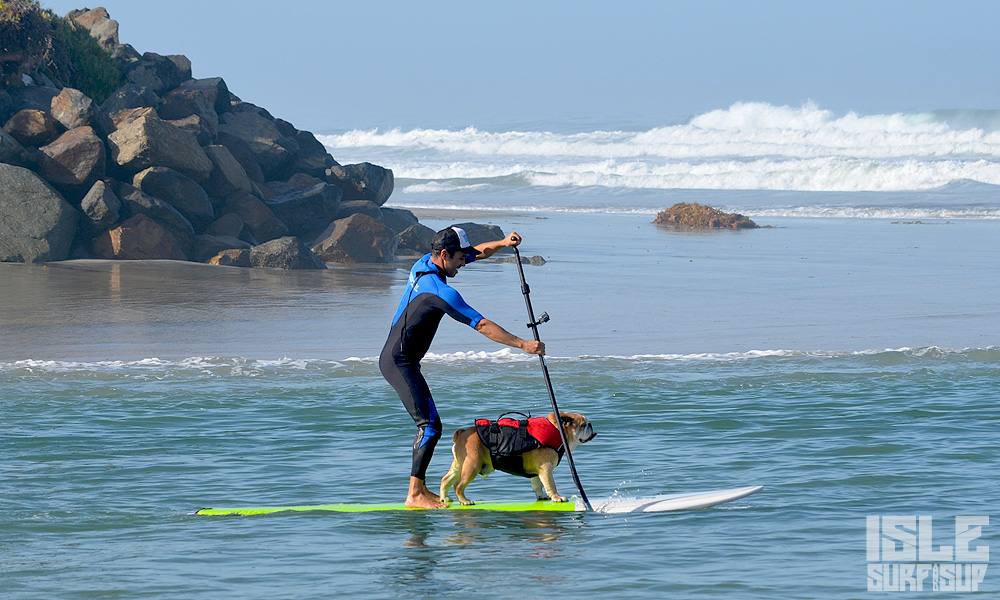 how to paddle with dog 7