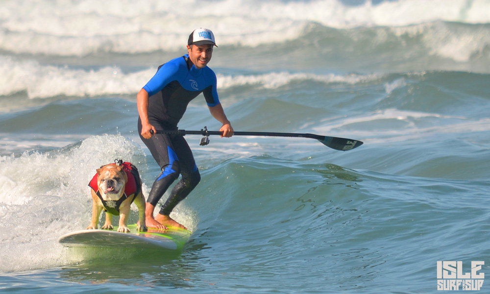 how to paddle with dog 8