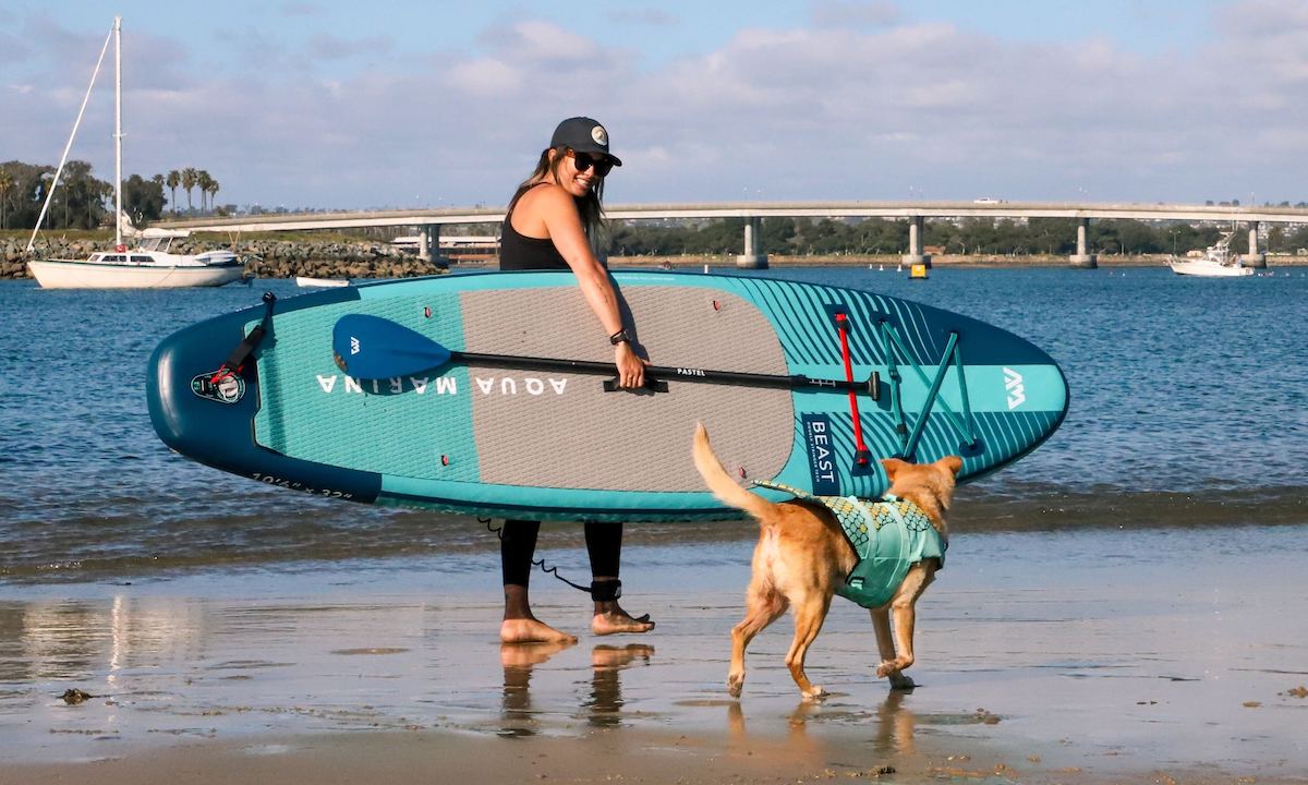 paddling high anxiety dogs