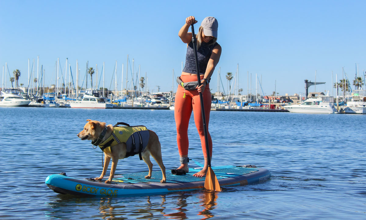 Tips For Stand Up Paddling With Your Dog