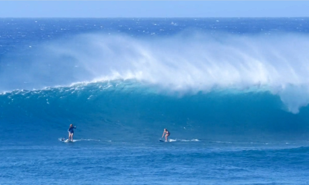 fiona wylde february sup surf