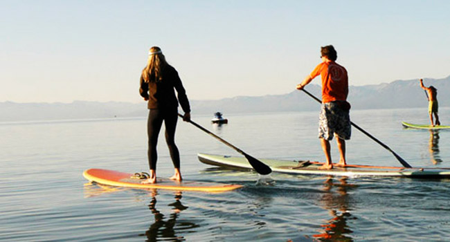 laketahoe-standuppaddle-farmanimals