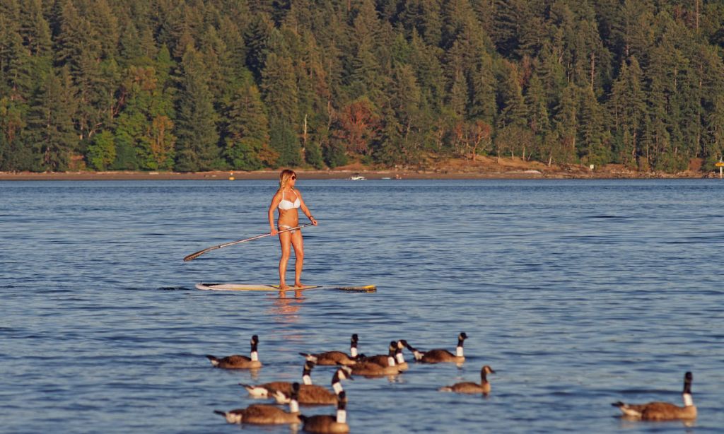 Paddle Boarding Vancouver, British Columbia