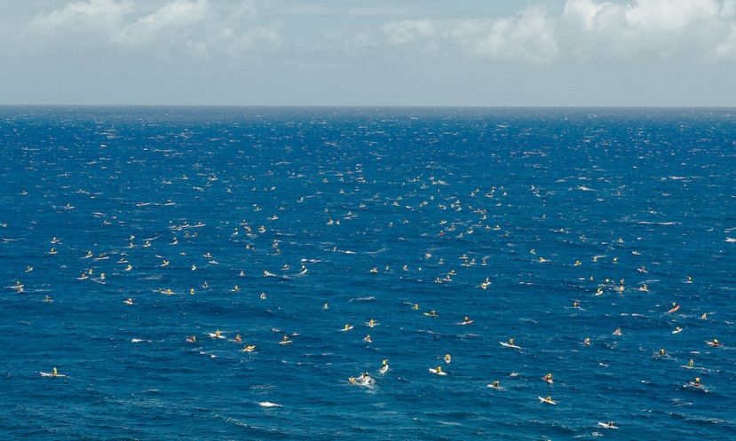 Are you ready for the 2016 Olukai Ho&#039;olaule&#039;a? Register today! | Photo: Mark Kushimi