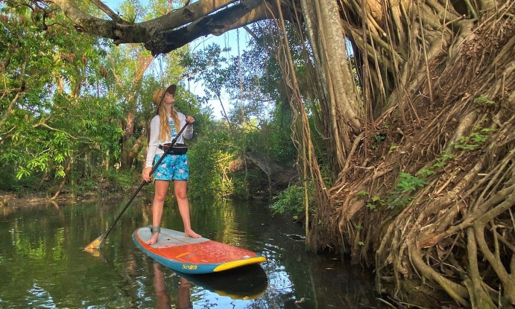 Exploring the Great Calusa Blueway Paddling Trail