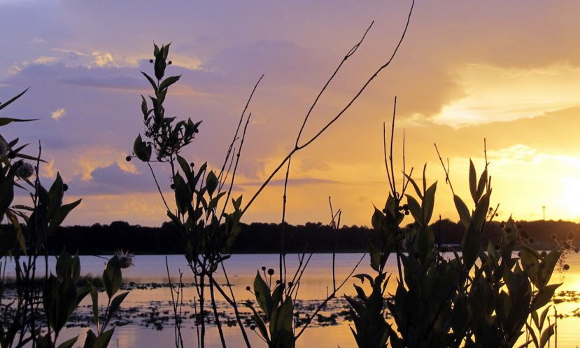 Sunset at Bill Frederick Park at Turkey Lake.