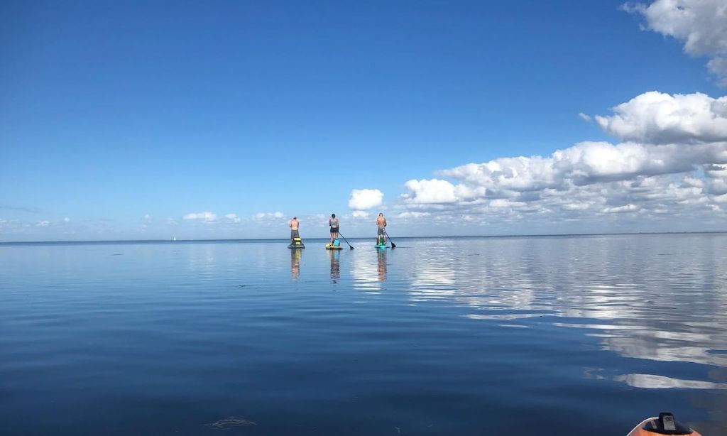 Weekly Recap 05/27/2025