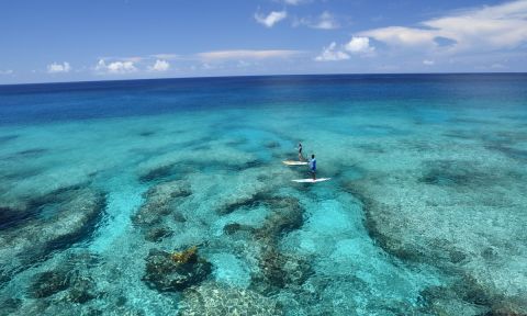 Crystal clear water of Turks and Caicos. | Photo: Philip Shearer / Big Blue Unlimited